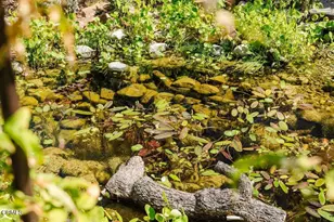 1300 Meadowbrook Rd, Altadena, CA 91001 - Photo 39