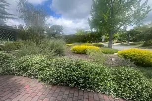 5029 Princess Anne Rd, La Canada Flintridge, CA 91011 - Photo 37