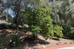 627 Linda Vista Ave, Pasadena, CA 91105 - Photo 33
