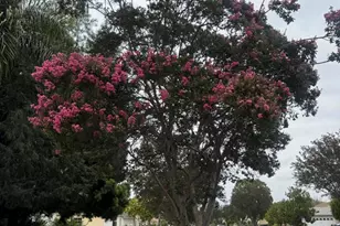 6867 Cantaloupe Ave, Los Angeles, CA 91405 - Photo 27