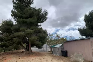 9020 Pionero Rd, Pinon Hills, CA 92372 - Photo 55