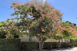 704 Santa Ynez Ln, San Gabriel, CA 91775 - Photo 41