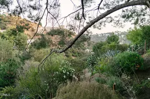 8008 Jorderr Ave, Los Angeles, CA 90046 - Photo 31