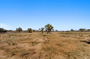 58778 Sunny Sands Dr, Yucca Valley, CA 92284 - Photo 45