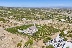 8671 Deer Haven Dr, Pinon Hills, CA 92372 - Photo 45