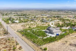 8671 Deer Haven Dr, Pinon Hills, CA 92372 - Photo 41