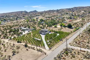 8671 Deer Haven Dr, Pinon Hills, CA 92372 - Photo 53