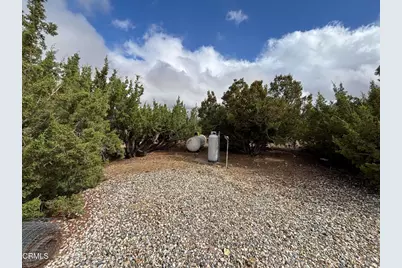 1631 Hollister Road, Pinon Hills, CA 92372 - Photo 7