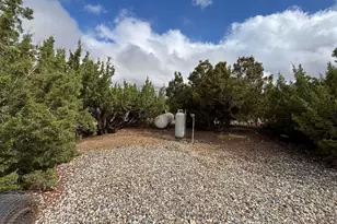 1631 Hollister Rd, Pinon Hills, CA 92372 - Photo 7