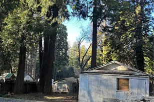 17159 Manzanita St, Stirling City, CA 95978 - Photo 11