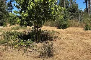 1345 Manhattan, Paradise, CA 95969 - Photo 1