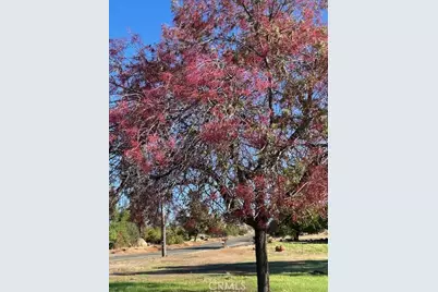 3898 Neal, Paradise, CA 95969 - Photo 1