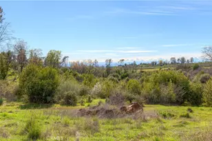 217 Craft, Paradise, CA 95969 - Photo 43