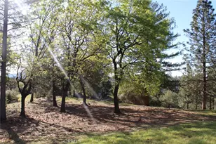 3482 Skycrest, Oroville, CA 95965 - Photo 37