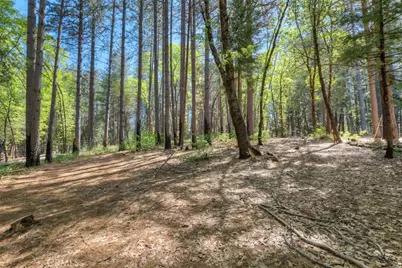 14565 Coutolenc Road, Magalia, CA 95954 - Photo 27