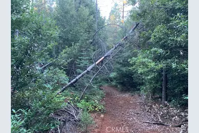 0 Off Skyway, DeSabla, CA 95954 - Photo 9