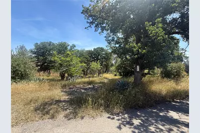 7274 Crazy Horse, Corning, CA 96021 - Photo 3