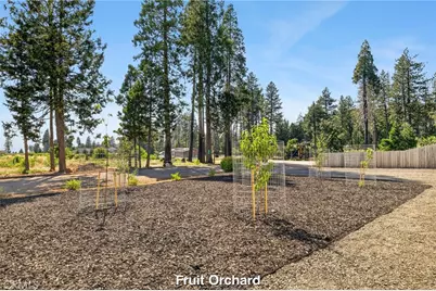 13760 Finch Court, Magalia, CA 95954 - Photo 9