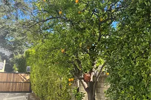 660 Devirian, Altadena, CA 91001 - Photo 33