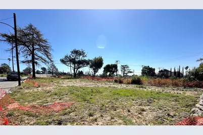 3183 Olive Avenue, Altadena, CA 91001 - Photo 7