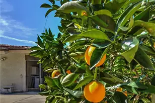 1100 S Ninth Ave, Arcadia, CA 91006 - Photo 33