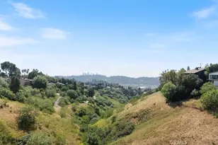 3851 Cazador St, Los Angeles, CA 90065 - Photo 29