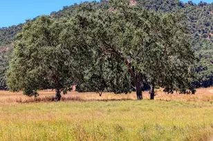 5720 Huasna Townsite Rd, Arroyo Grande, CA 93420 - Photo 57