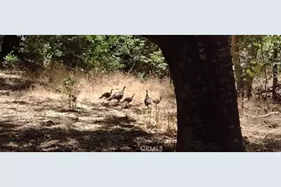 9500 Santa Rosa Creek Road, Templeton, CA 93465 - Photo 17