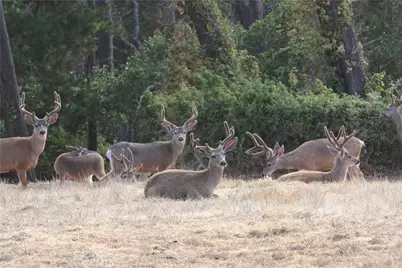 9500 Santa Rosa Creek Road, Templeton, CA 93465 - Photo 15