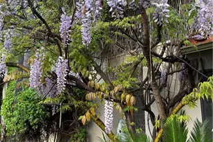 40820 Oak Ridge Dr, Three Rivers, CA 93271 - Photo 41