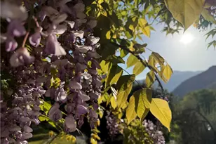 40820 Oak Ridge Dr, Three Rivers, CA 93271 - Photo 65