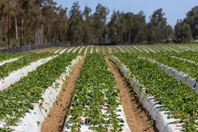 0 Indiana Way, Nipomo, CA 93444 - Photo 3