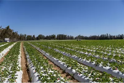 0 Indiana Way, Nipomo, CA 93444 - Photo 9