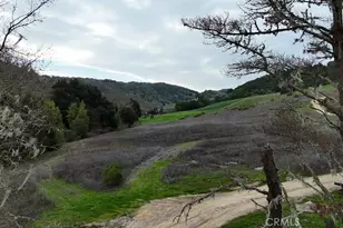 5495 Jack Creek Rd, Templeton, CA 93465 - Photo 13