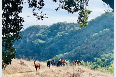 4905 Huasna Road, Arroyo Grande, CA 93420 - Photo 53