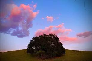 4905 Huasna Rd, Arroyo Grande, CA 93420 - Photo 55