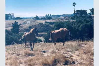 4905 Huasna Road, Arroyo Grande, CA 93420 - Photo 51