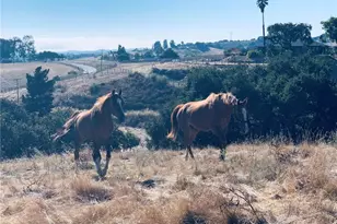 4905 Huasna Rd, Arroyo Grande, CA 93420 - Photo 51