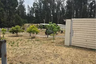 462 Camino Perillo, Arroyo Grande, CA 93420 - Photo 3