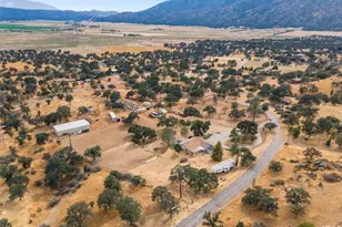 21564 Pine Tree Rd, Caliente, CA 93518 - Photo 9