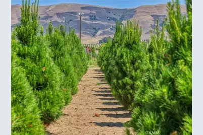 424 Bermuda Place, Nipomo, CA 93444 - Photo 11