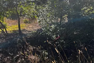 3236 Gleason St, Cambria, CA 93428 - Photo 1