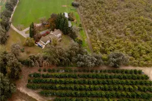 31767 Rd 166, Visalia, CA 93292 - Photo 55