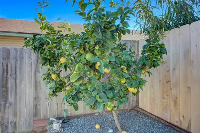 1348 Avenida Pelicanos, Oceano, CA 93445 - Photo 49