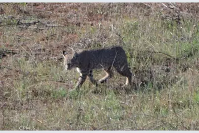 1294 Hollysprings, Santa Maria, CA 93455 - Photo 53