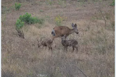 1294 Hollysprings, Santa Maria, CA 93455 - Photo 49