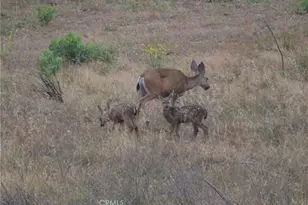 1294 Hollysprings, Santa Maria, CA 93455 - Photo 49