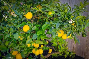 93 Chuparrosa Dr, San Luis Obispo, CA 93401 - Photo 57