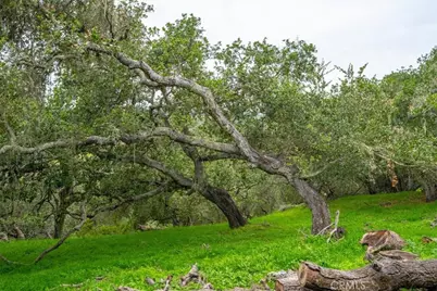 401 Puesta Del Sol, Arroyo Grande, CA 93420 - Photo 41