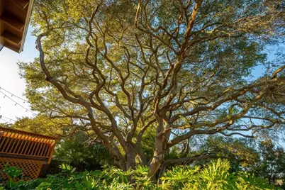 850 Primrose, Nipomo, CA 93444 - Photo 55